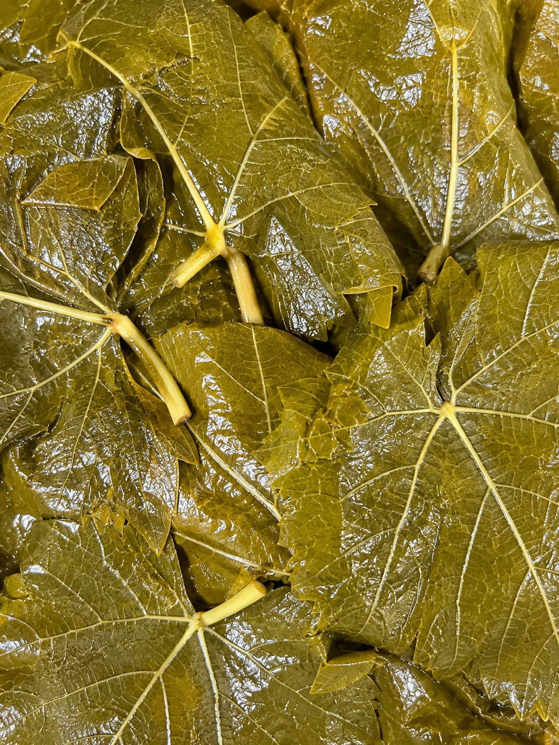 Weinblätter in Salzlake 1500 g